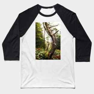 The Greenwood Dancing Pine Baseball T-Shirt